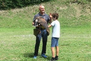 Attivit� con il falco all'Oasi degli Animali