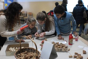Laboratorio di Tecnologia con la Prof.ssa Masala