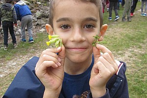 ... e dei fiori di montagna