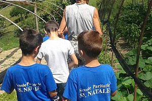 Nell'orto con nonno Sergio