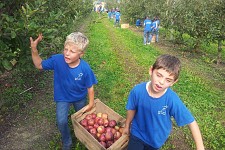 La raccolta delle mele: che fatica!