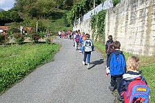 In cammino verso il bosco...